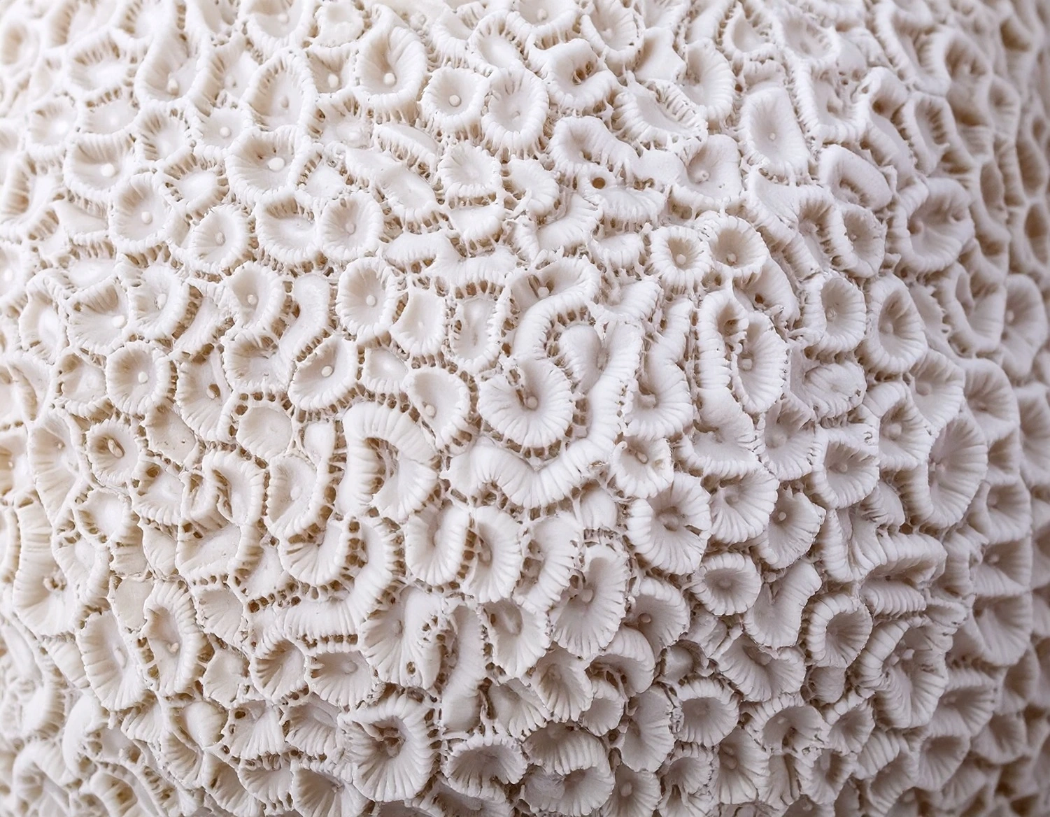 State of Disrepair: Technological Ambition, Global Fragmentation, and the End of the Postwar Order